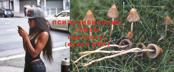 apvp Алексин
