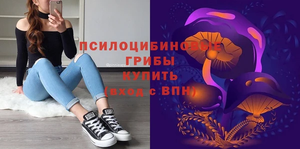 apvp Алексин